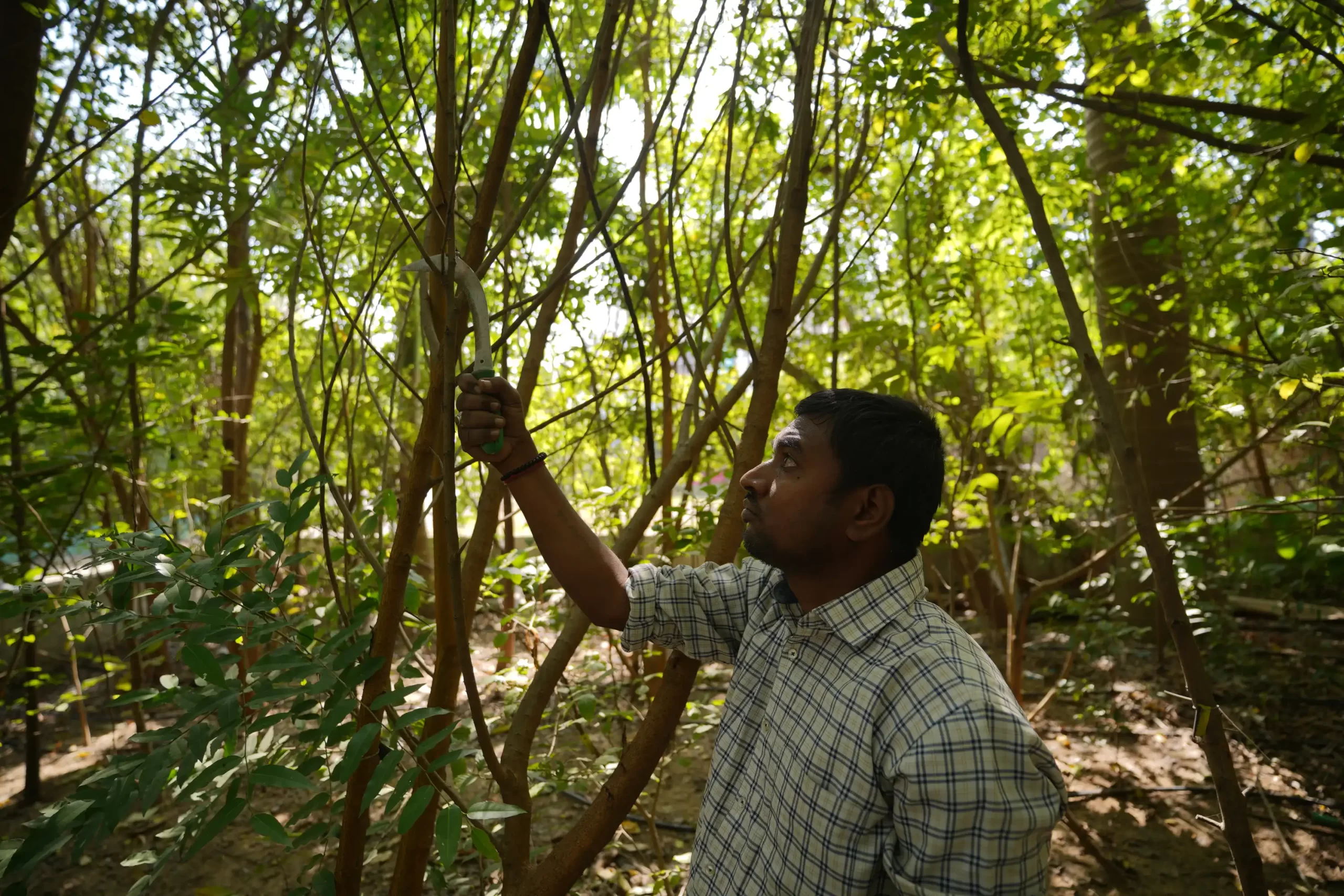 Biodiversity Conservation