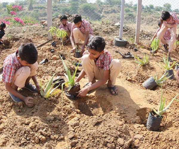 Campus Greening Initiatives