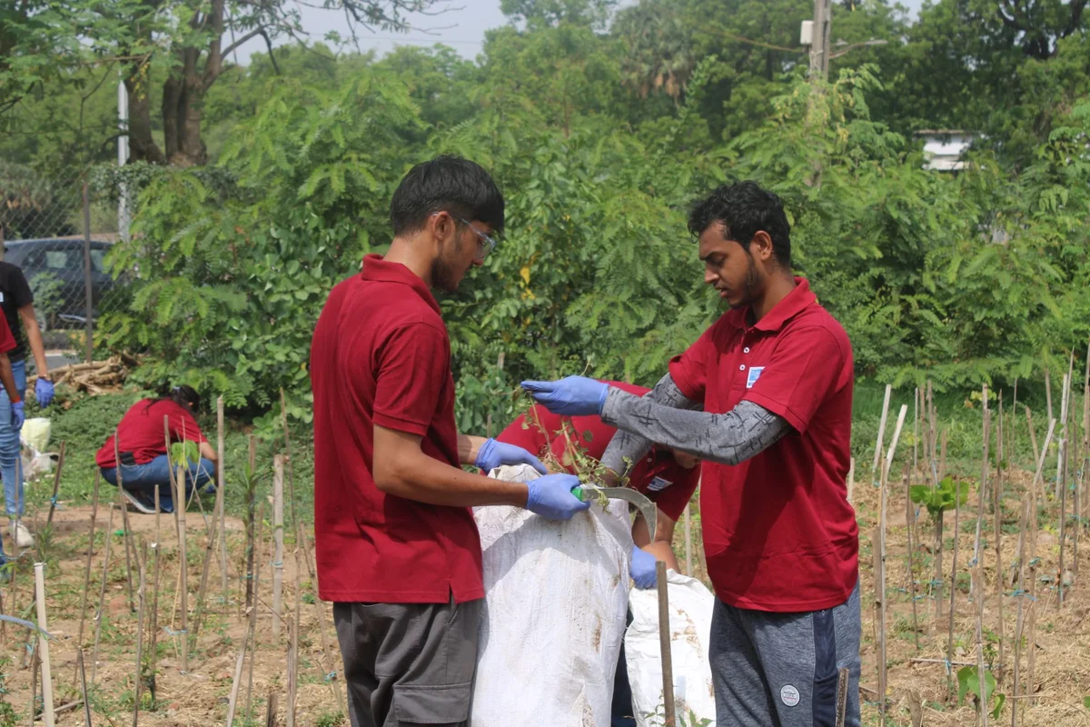 Cleanliness drives